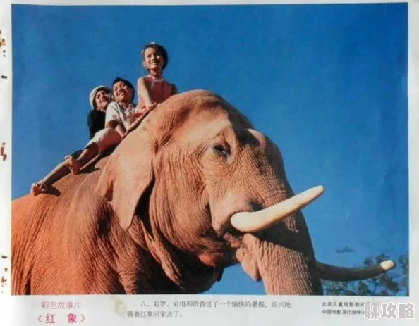 第五人格阅历奖励全览:网友热议最高等级究竟是多少级? 第五人格阅历奖励全览:网友热议最高等级究竟是多少级?