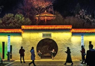 梦幻西游手游4星驯兽高手通关秘籍：高效技巧解析，网友热评攻略分享