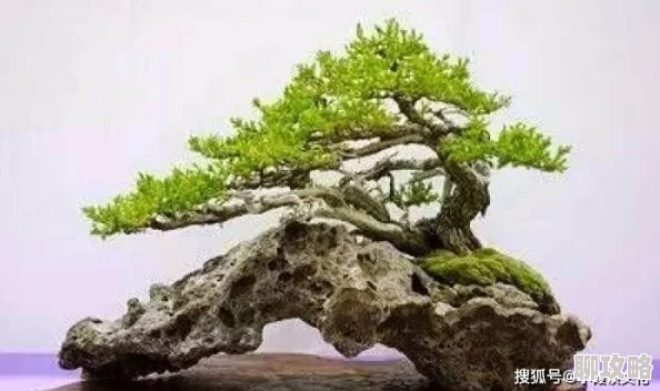 可交换系列小说第一部《错位人生》已完结第二部《命运交织》即将开启预售