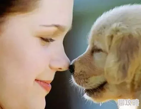 公主玉势近日公主玉势在社交媒体上分享了她的新宠物小猫，吸引了众多粉丝的关注