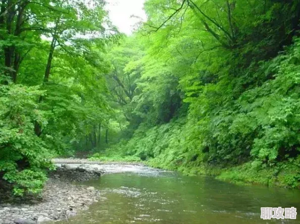 网友热议:HIT我守护的一切山岳地带通关技巧全面详解与评价 网友热议:HIT我守护的一切山岳地带通关技巧全面详解与评价