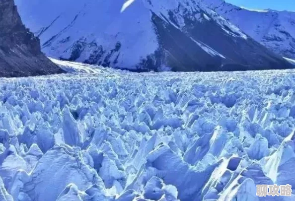 网友热议:HIT我守护的一切山岳地带通关技巧全面详解与评价 网友热议:HIT我守护的一切山岳地带通关技巧全面详解与评价