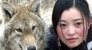 狼群txt下载据说作者取材于亲身经历引网友热议