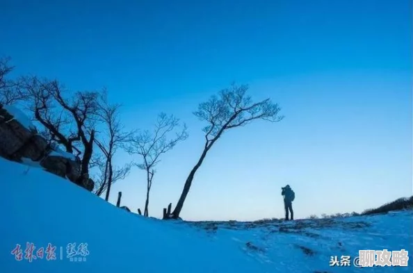 网友热议:命运冠位指定FGO本能寺无间炼狱高效阵容推荐及全攻略解析 网友热议:命运冠位指定FGO本能寺无间炼狱高效阵容推荐及全攻略解析