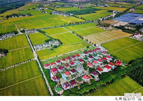 村里医生有点大央视热播乡村医疗剧展现基层医生风采