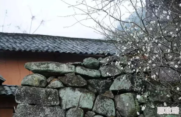 网友热议:仙境传说RO手游清香扑鼻任务高效通关全攻略 网友热议:仙境传说RO手游清香扑鼻任务高效通关全攻略