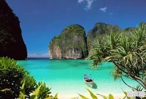 黑人极品巨大videoshd据传闻拍摄于神秘私人岛屿耗资百万美元打造奢华场景