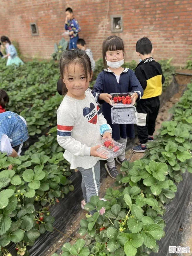 草莓秘免费一区二区三区限时开放所有功能体验全新版本惊喜上线 草莓秘免费一区二区三区限时开放所有功能体验全新版本惊喜上线