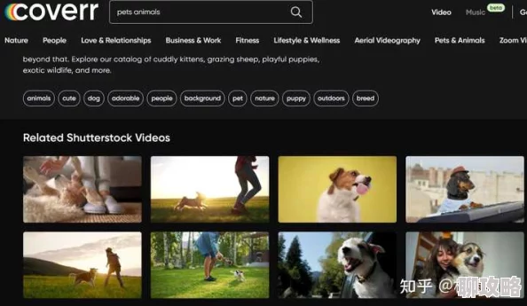 欧美videos画质高清内容丰富就是更新有点慢 欧美videos画质高清内容丰富就是更新有点慢