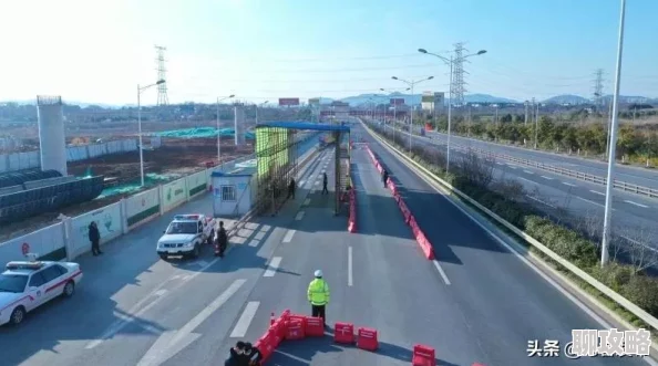 网友热议：保卫萝卜3中建筑工与糕点师角色对比评价