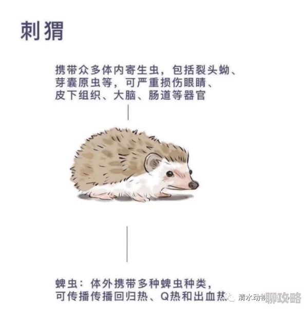 我的世界：全面家禽动物养殖攻略，网友热评实用指南