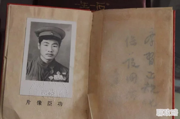 久久91功能优化升级用户体验提升 久久91功能优化升级用户体验提升