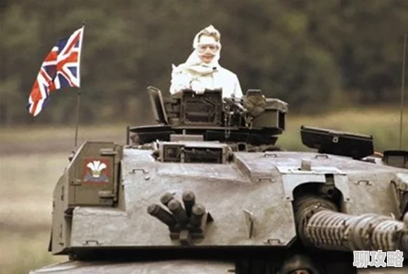 网友热议：火焰纹章英雄马克斯S实用性深度测评，相性激化下的坦克新王者？