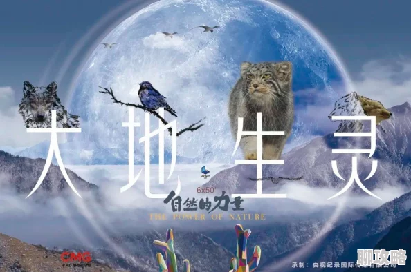 大地资源二中文在线观看免费版高清展现自然之美,传递环保理念,值得一看 大地资源二中文在线观看免费版高清展现自然之美,传递环保理念,值得一看