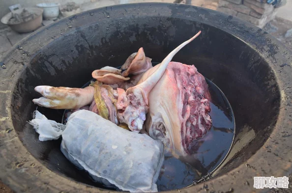 邻居天天肉我听说他家祖传秘方做的卤肉特别好吃经常送邻居品尝