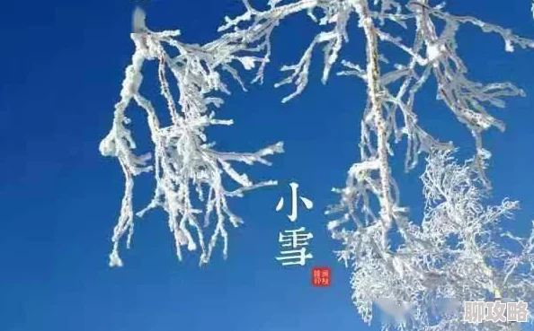 小雪好湿好紧太爽展现了坚韧的毅力与对目标的执着追求令人敬佩