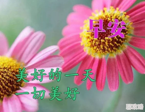 小雪好湿好紧太爽展现了坚韧的毅力与对目标的执着追求令人敬佩