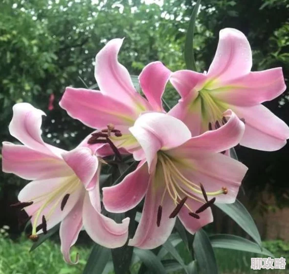 蹭蹭嗯啊h女女百合听说主演私下关系也很好经常一起逛街吃饭 蹭蹭嗯啊h女女百合听说主演私下关系也很好经常一起逛街吃饭