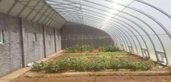 百叔私下热爱园艺据传拥有一个价值百万的兰花温室