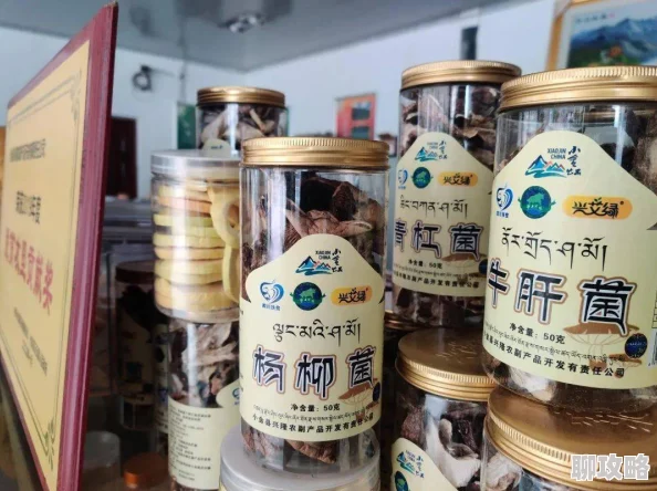 网友热议:你真的完全看懂《我的世界故事模式》中的那些微妙小细节了吗? 网友热议:你真的完全看懂《我的世界故事模式》中的那些微妙小细节了吗?