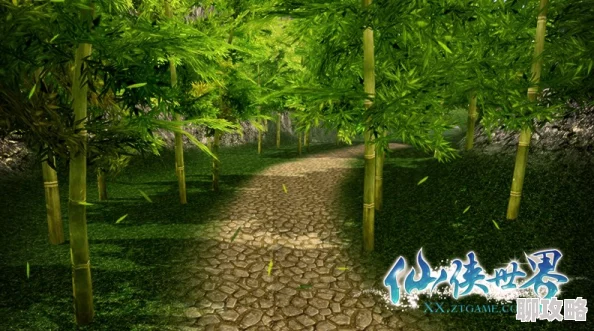 仙侠绿竹林副本全攻略：网友热评高效通关秘籍解析