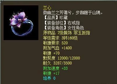 网友热议:大话西游手游兰心珍藏套与乾坤珍藏套选择技巧大揭秘 网友热议:大话西游手游兰心珍藏套与乾坤珍藏套选择技巧大揭秘