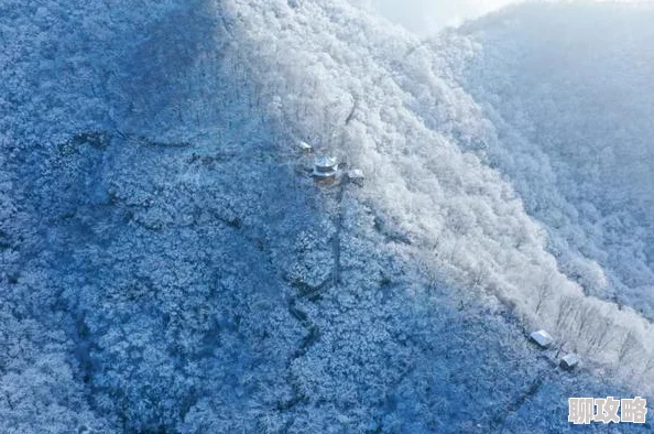 幻想英雄3D装扮系统深度玩法技巧揭秘:网友热评的个性化打造攻略 幻想英雄3D装扮系统深度玩法技巧揭秘:网友热评的个性化打造攻略