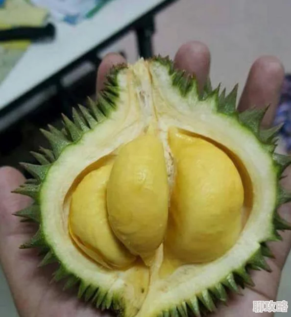 521香蕉最新鲜果肉现已上市甜度适中口感软糯欢迎品尝