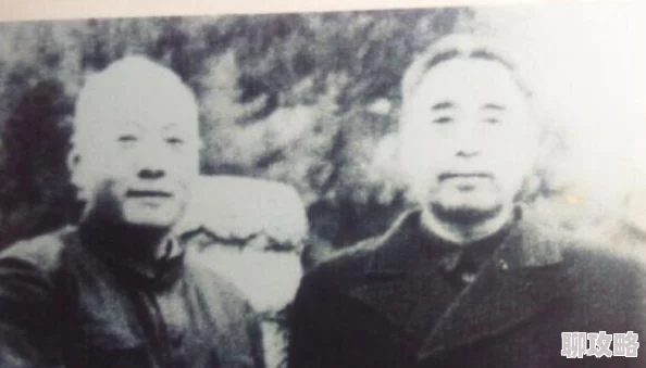 网友热议:无双兵团手游中刘备技能情义深度解读与评价 网友热议:无双兵团手游中刘备技能情义深度解读与评价