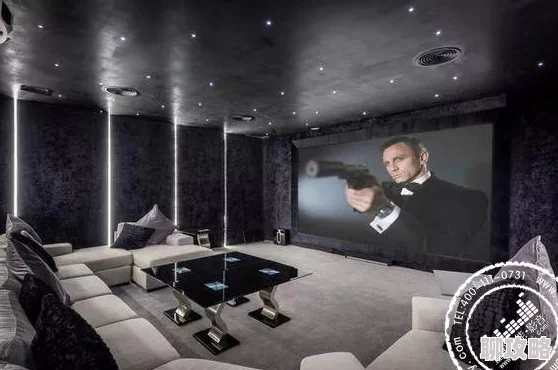 欧美私人家庭影院据说某一线男星斥资千万打造奢华视听盛宴