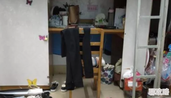 女生宿舍小说据说作者basedon真实宿舍生活引发网友热议