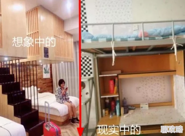 女生宿舍小说据说作者basedon真实宿舍生活引发网友热议