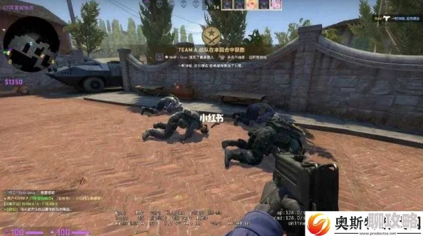 暴躁老姐的CSGO心得分享小说全网首发百万点击人气火爆 暴躁老姐的CSGO心得分享小说全网首发百万点击人气火爆