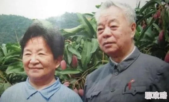 幸福的一家1-6小说全文听说作者取材于隔壁老王家的真实故事引发网友热议 幸福的一家1-6小说全文听说作者取材于隔壁老王家的真实故事引发网友热议