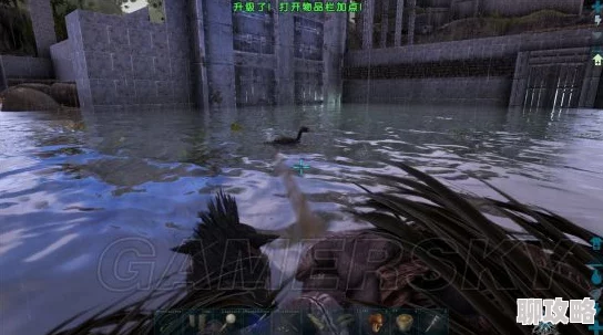 方舟生存进化:黄昏鸟金蛋高效获取秘籍,网友亲测:让它狂吃鱼就对了! 方舟生存进化:黄昏鸟金蛋高效获取秘籍,网友亲测:让它狂吃鱼就对了!