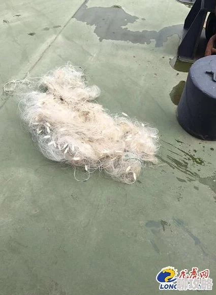 捕鱼来了!网友热评黄金鱼种形象类别全面展示介绍大全 捕鱼来了!网友热评黄金鱼种形象类别全面展示介绍大全