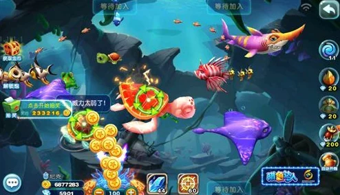 捕鱼来了：深度解析捕捉海盗船玩法及奖励，网友热评一览