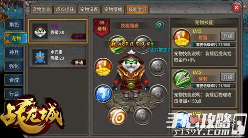 战龙城宠物获取全攻略:网友热议如何打造专属萌宠秘籍 战龙城宠物获取全攻略:网友热议如何打造专属萌宠秘籍