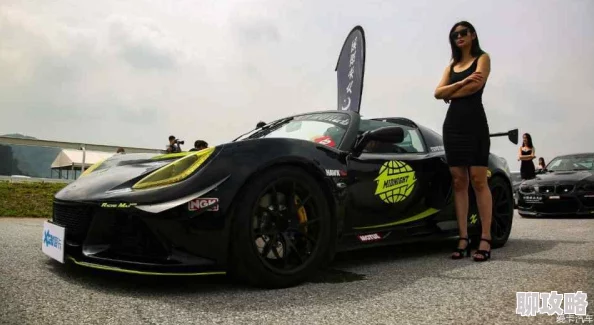 4438x成人网全国最大炫车酷驾追求速度与激情，勇敢追梦成就精彩人生