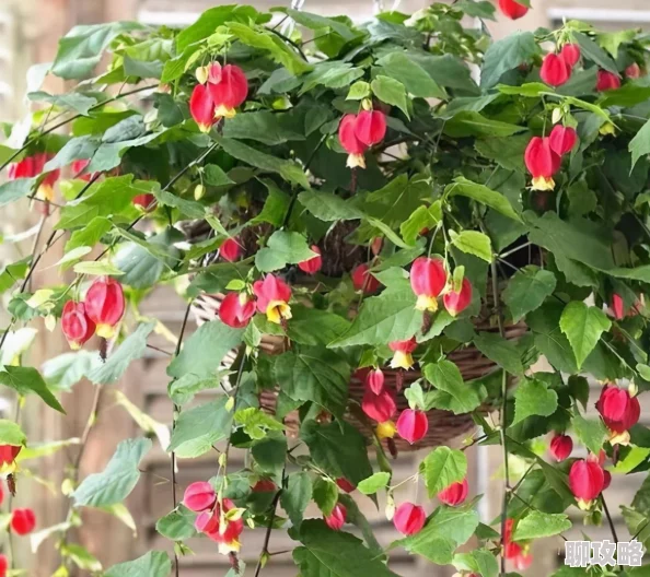 球球大作战高手攻略:巧妙追击敌方吐出小球,网友热议实战技巧! 球球大作战高手攻略:巧妙追击敌方吐出小球,网友热议实战技巧!