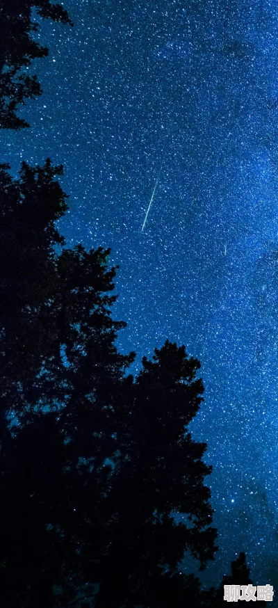 三国杀传奇许愿流星获取攻略:全面介绍获得方法及网友评价 三国杀传奇许愿流星获取攻略:全面介绍获得方法及网友评价