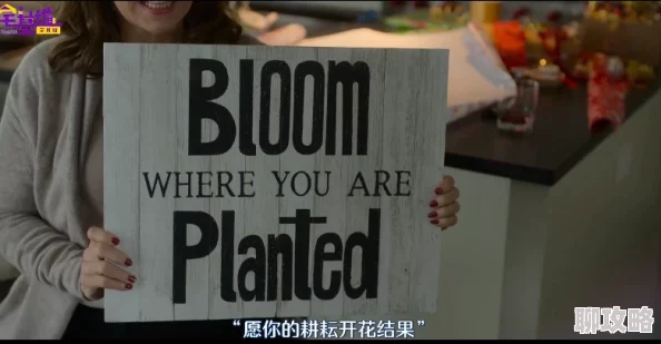 欧美一级A一级a爱片免费免免1内容低俗传播不良信息危害身心健康浪费时间