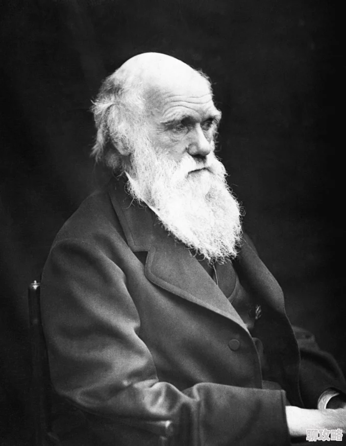 美式忌保罗讳1令人失望的剧情和刻板印象浪费了优秀的演员 美式忌保罗讳1令人失望的剧情和刻板印象浪费了优秀的演员