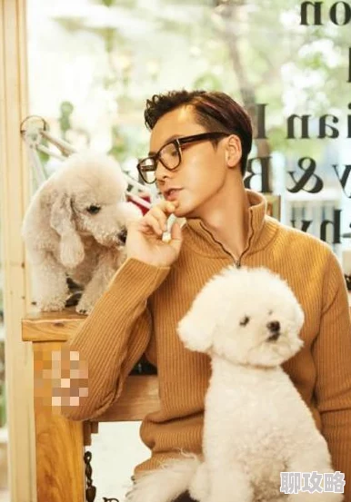 老九门手游宠物技能学习攻略:网友热议宠物技能书获取全解析 老九门手游宠物技能学习攻略:网友热议宠物技能书获取全解析