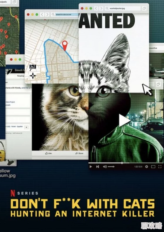 快猫世界纪录世界你的美纪录片现已上线揭秘猫咪的奇趣世界 快猫世界纪录世界你的美纪录片现已上线揭秘猫咪的奇趣世界