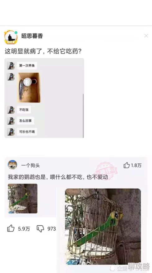 网友热议:少女咖啡枪中值得入手的顶级防具装备大盘点 网友热议:少女咖啡枪中值得入手的顶级防具装备大盘点