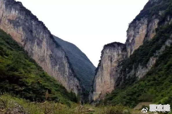 荒野行动决胜十一人问题全解读:网友热评攻略,助你轻松夺冠秘籍 荒野行动决胜十一人问题全解读:网友热评攻略,助你轻松夺冠秘籍