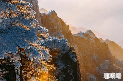 网友热议:逍遥吟手游野外PK玩法技巧深度全解析攻略 网友热议:逍遥吟手游野外PK玩法技巧深度全解析攻略