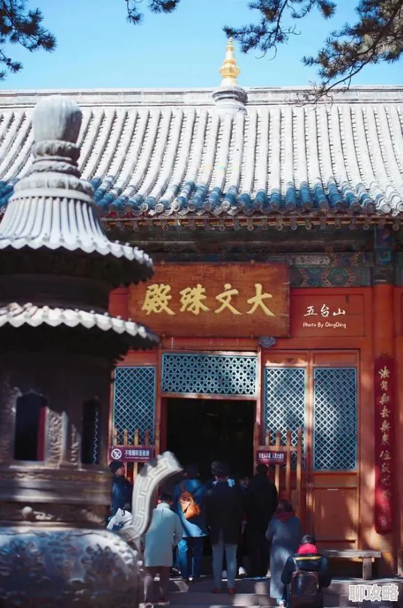 仙境传说RO手游初心者必备：白幽灵道场攻略详解，网友热评通关技巧！