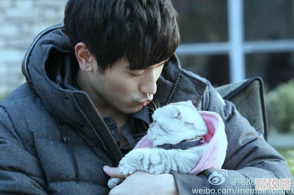 遇见王沥川电视剧免费观看全集剧情沥川往事经典再现高清纯享版限时回归